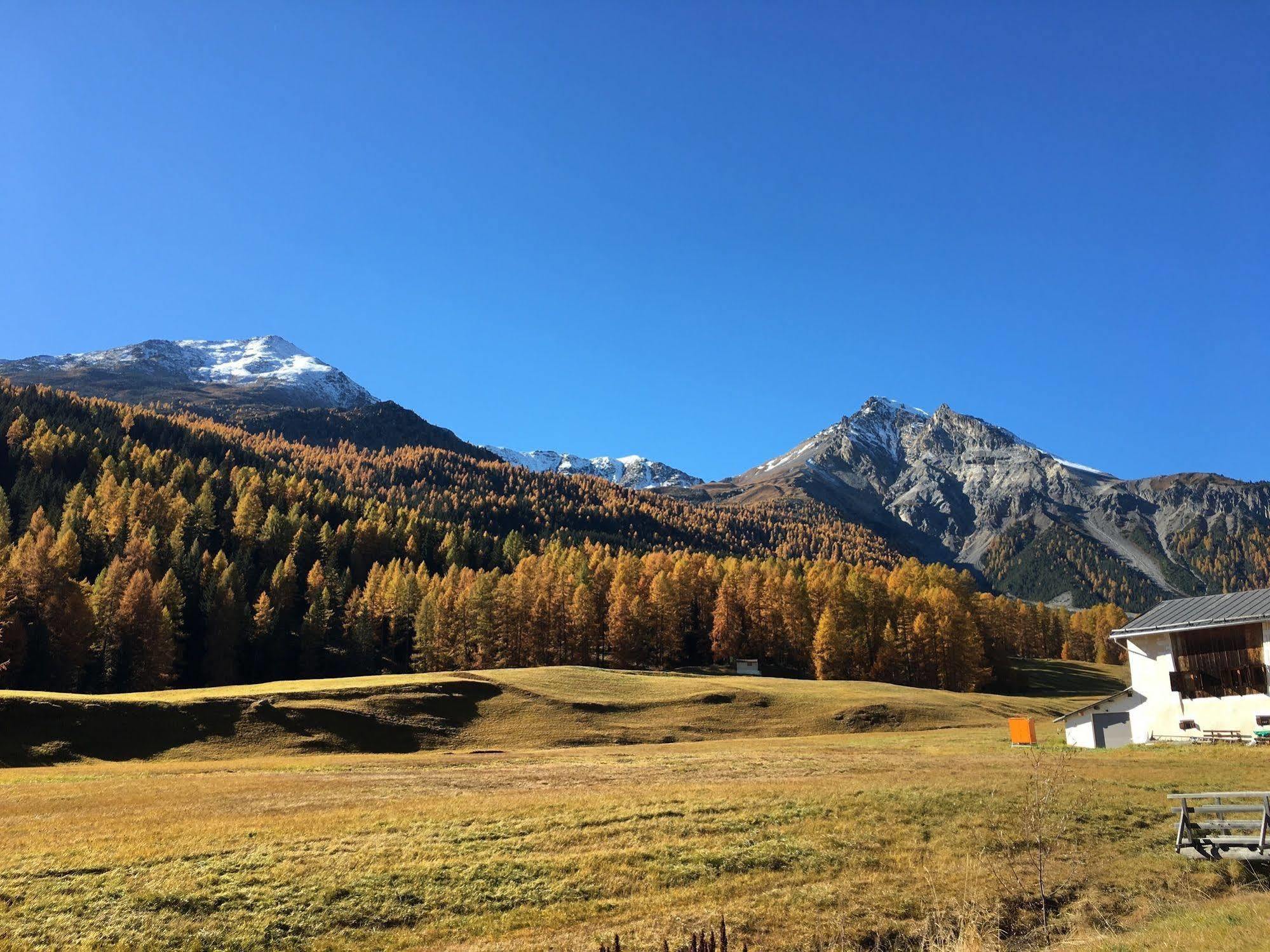 Hotel Al Rom Tschierv Bagian luar foto